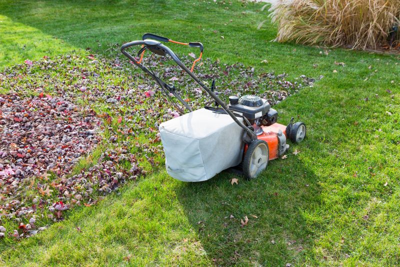 Fall Lawn Maintenance Tools