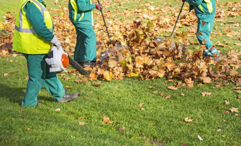 Raking and Bagging Leaves