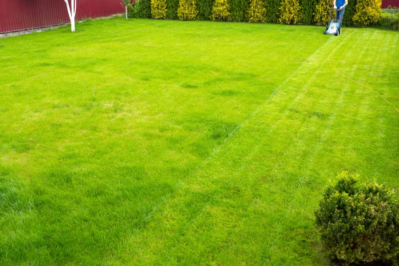 Lush Green Lawns