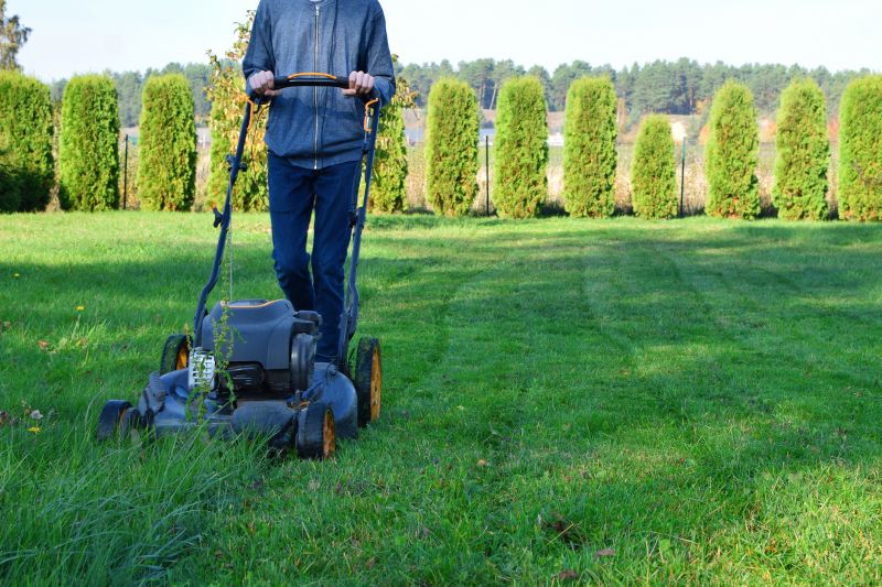 Seasonal Lawn Service Providers