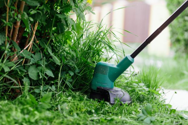 Weed Whacking in Doylestown
