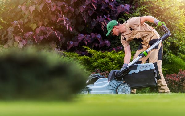 Yard Care Service in Doylestown