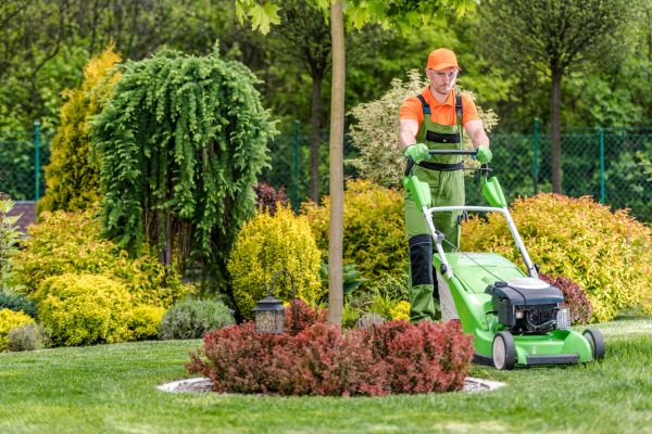 Yard Service in Doylestown