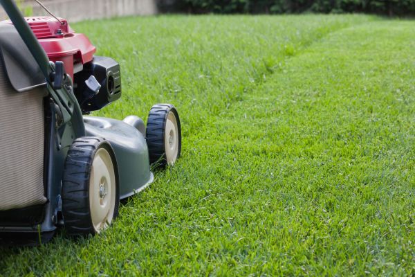 Residential Lawn Care in Doylestown