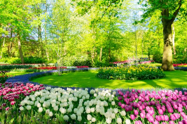 Cost of Spring Lawn Care in Doylestown