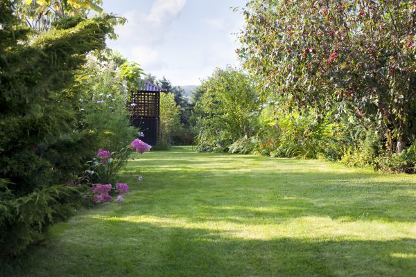 Yard Upkeep Service in Doylestown