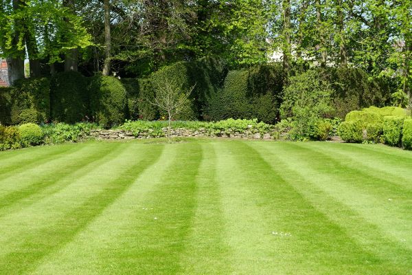 Grass Care Service in Doylestown