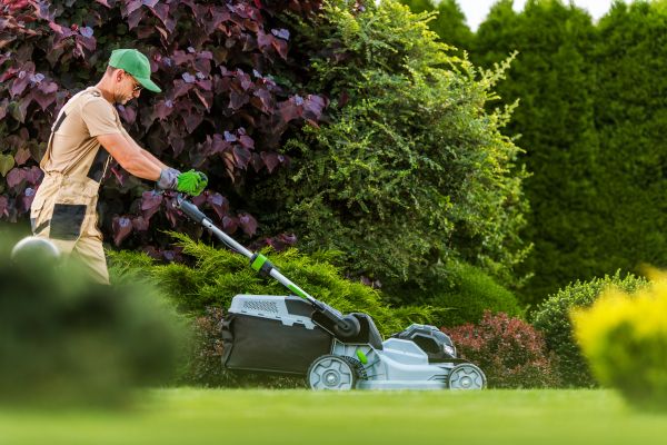 Lawn Management in Doylestown