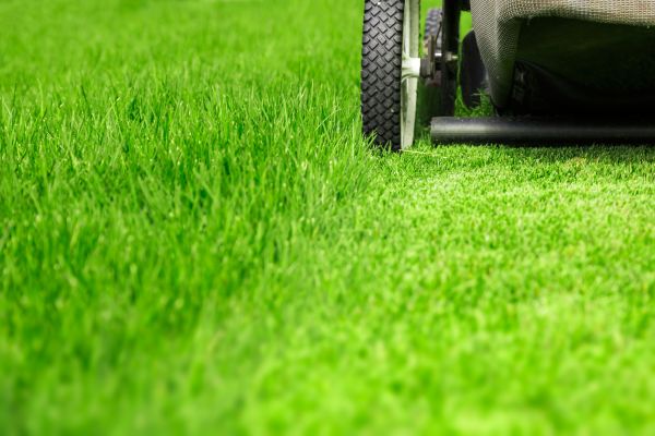 Weekly Lawn Care in Doylestown