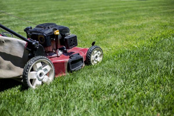 Routine Lawn Care in Doylestown