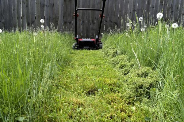 High Grass Mowing in Doylestown