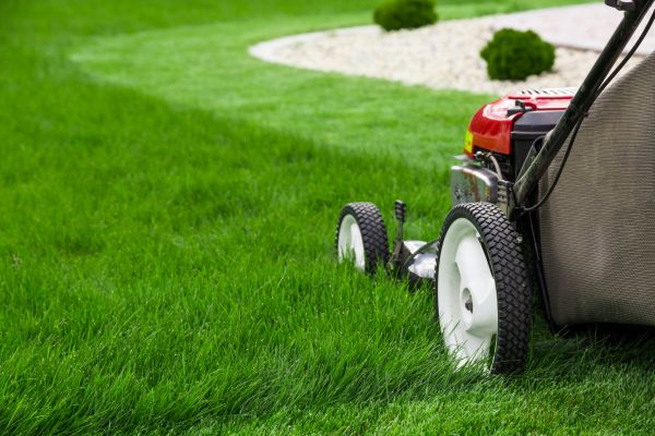 Lawn Trimming in Doylestown