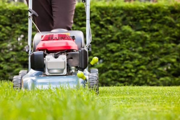 Grass Trimming Service in Doylestown