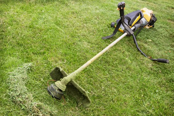 Hillside Weed Whacking in Doylestown