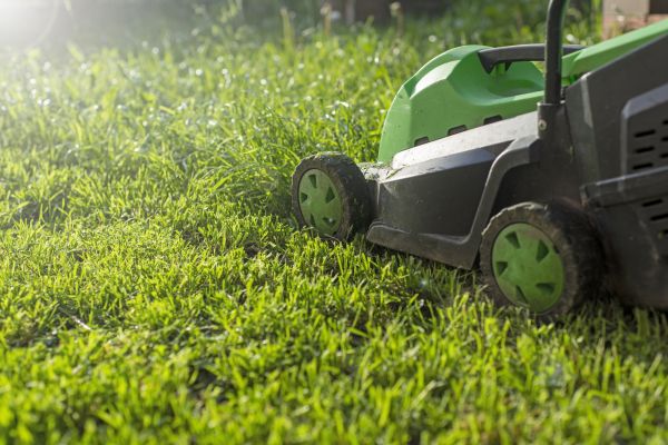 Yard Trimming in Doylestown