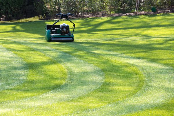 Business Lawn Mowing in Doylestown