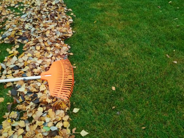 Fall Lawn Care in Doylestown
