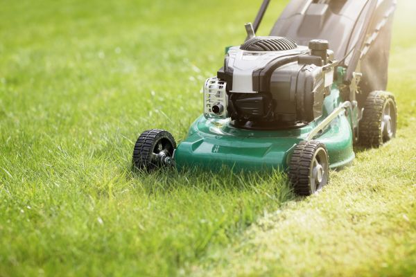 Spring Grass Trimming in Doylestown