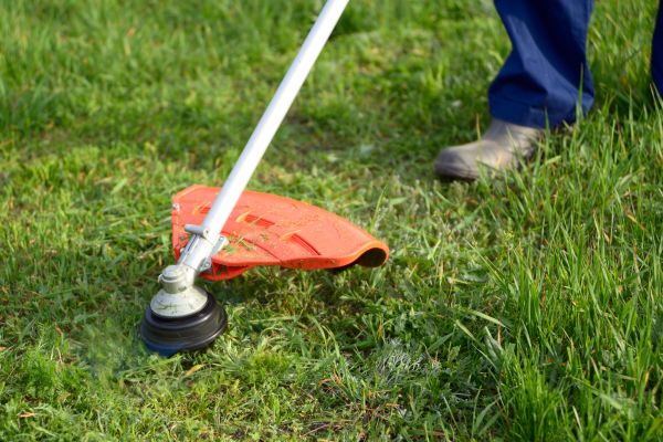Lawn Weed Whacking in Doylestown